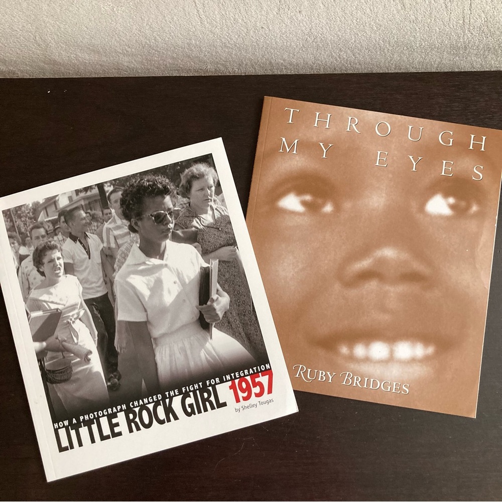 2 Civil Rights books ✌🏾 - Picture 9 of 9